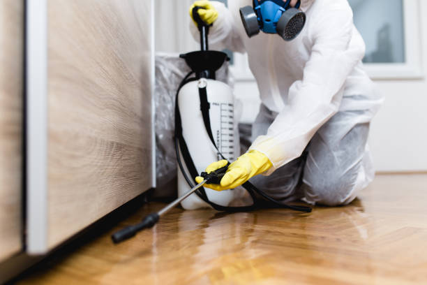 Best Pest Inspection Near Me  in Salem, SD