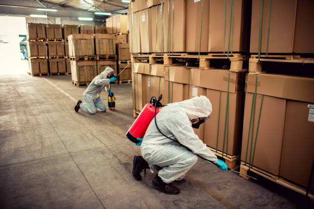 Best Pest Control for Businesses  in Salem, SD