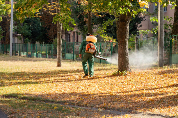 Best Affordable Pest Control Services  in Salem, SD